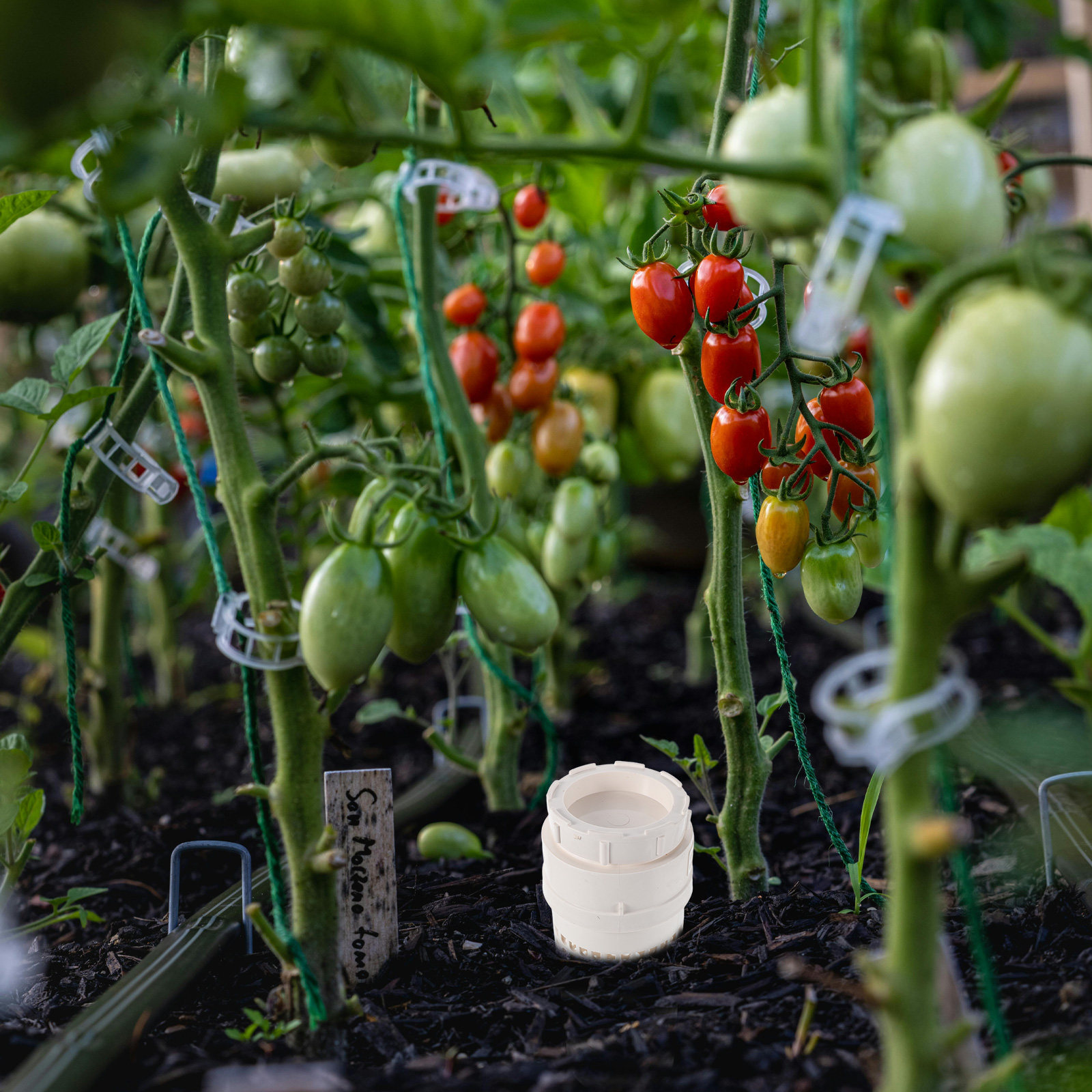 Inground Plastic Worm Compost  - đánh giá và giá Compost Bin